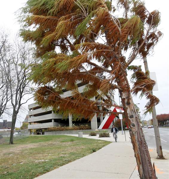 Rare-event-in-weather-rolls-through-Toledo-area