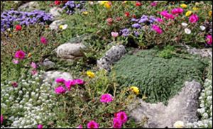 Ground cover solves landscaping trouble spots and minimizes garden maintenance.

