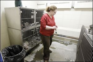 Dog Warden Julie Lyle checks out the puppy room. The warden now has a no-kill policy for puppies, unless they are ill or injured.