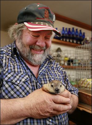 Charlie Hoag holds his new baby groundhog, HuckyToo, at his home in Springfield Township near Holland. Mr. Hoag owned Holland Huckleberry, locally known as a weather prognosticator, who died in 2010.