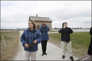 At Pearson Metropark, Karen Mitchell, left, Stacey Schamberger, center, and Heather Norris, each a Metroparks naturalist, stroll away from a cabin for a view of the aerial wildlife.