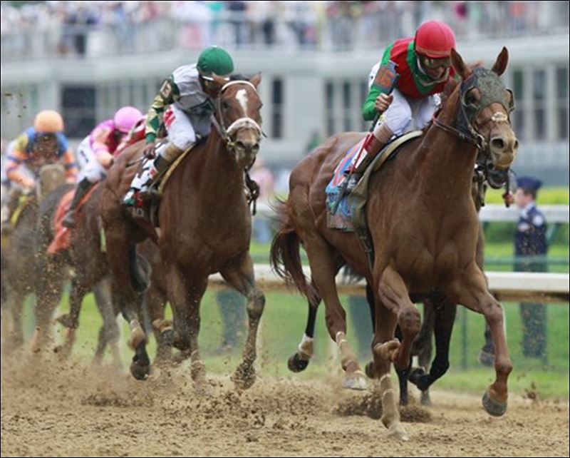 Animal Kingdom wins Kentucky Derby - Toledo Blade