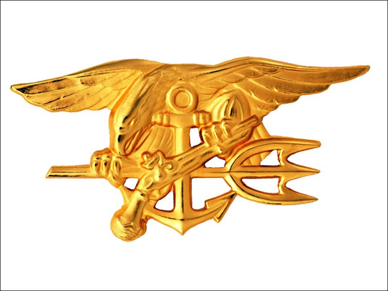 The Navy SEALs: 2 views from the inside - Toledo Blade