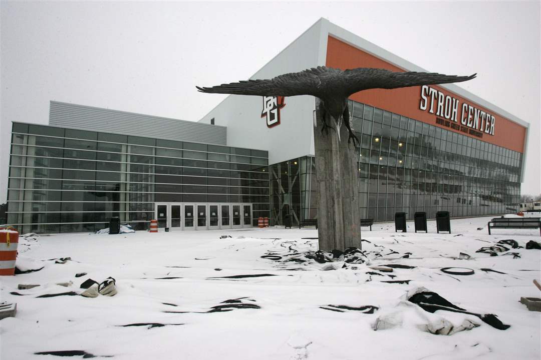 Stroh-Center-falcon-January-2011