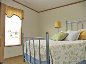 The master bedroom is large enough for a nice bedroom suite.