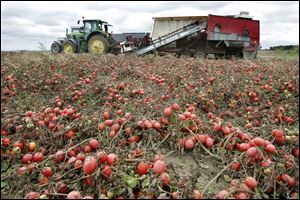 Members of the Ohio Ecological Food and Farm Association is to tour on Saturday one of the Hirzel Farms in Wood County.