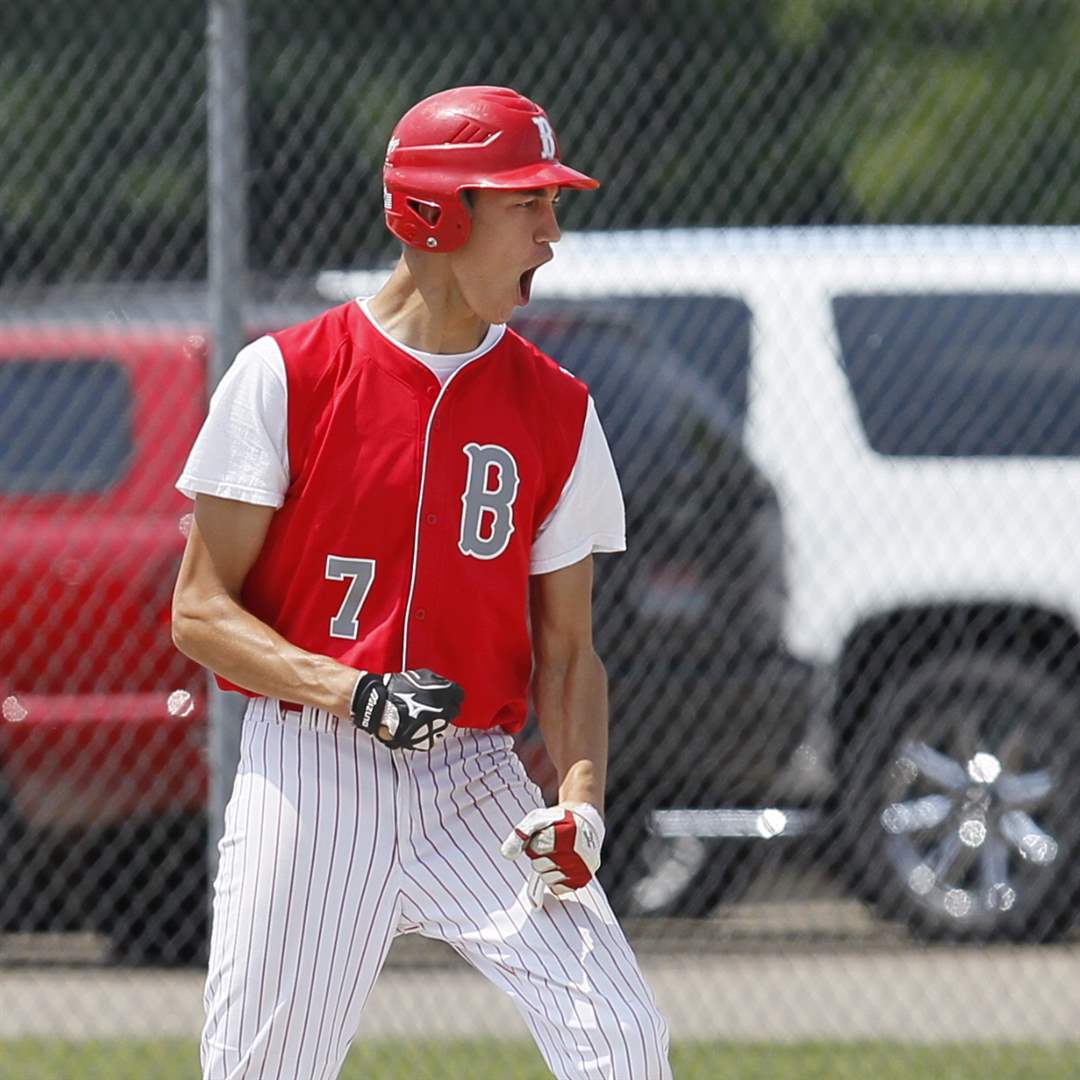 BASEBALL: Steward delivers again, pitches Clarkston past Brighton and into  Division 1 state semifinals