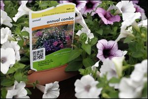 Quick Response codes can be found on merchandise in the garden center at Home Depot, which began using the codes this year.