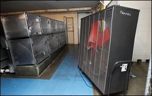 One of three fans keeps the dogs cool at the Lucas County Dog Pound, but a power outage forced the facility to use a generator to power them. Dog Warden Julie Lyle said no dogs died or collapsed. 