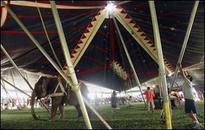 An elephant is used by the Kelly Miller Circus to set up their tent Monday in Kelleys Island.