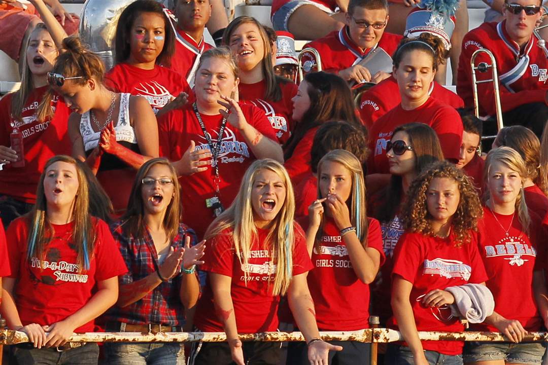 bowsher-fans