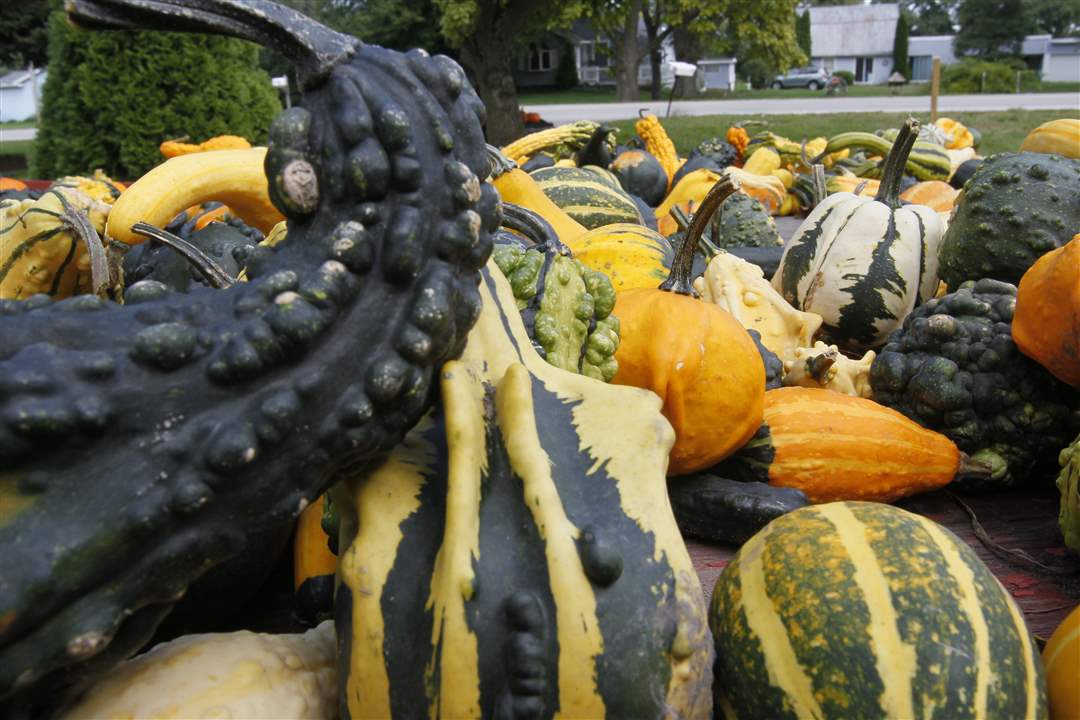 Mag-gourds