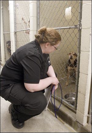 Lucas County Dog Warden Julie Lyle says she is trying to get more animals to private shelters and rescue groups prepared to invest time and expertise in helping them.