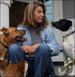 Aimee Sadler, behavior and training program director for the Longmont Humane Society in Longmont, Colo., says the no-kill sh elter offers potential adopters help with training once the dog is in the home.