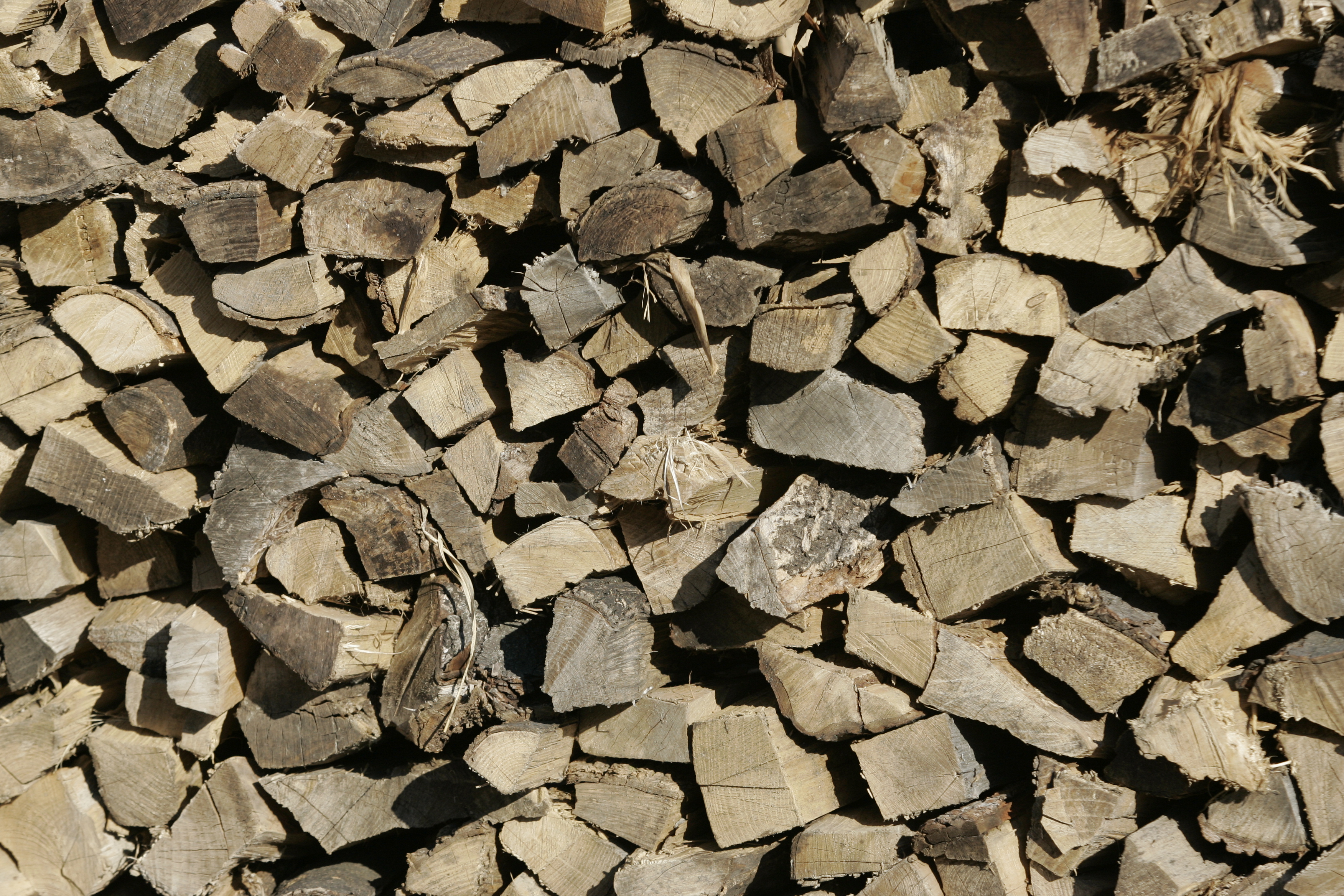 Local prices hold steady for firewood - The Blade