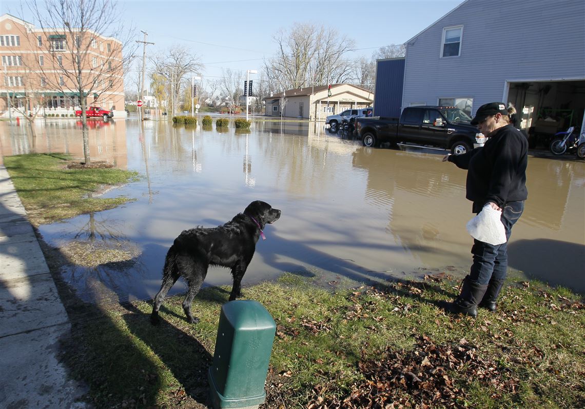 Rain swollen River Raisin flows into parts of Dundee The Blade