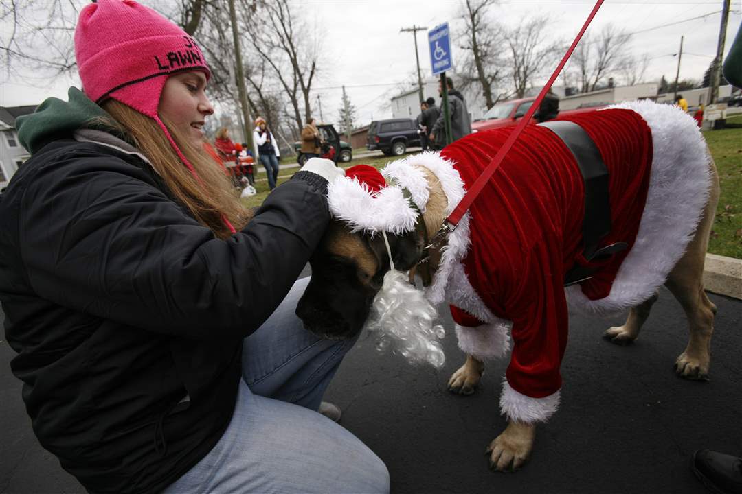 Anna-Sturn-of-Monroe-Mich-dresses-her-English-mastiff-Remington-as-Santa-Claus