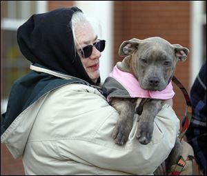 Katy Shepler holds her 6-month-old dog, Scooter, as the Lucas County Pit Crew hosts a reunion Wednesday at the Lucas County Dog Warden office.