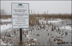 Eagle Marsh near Fort Wayne, Indiana, Thursday. an Asian carp barrier fence has been erected there.