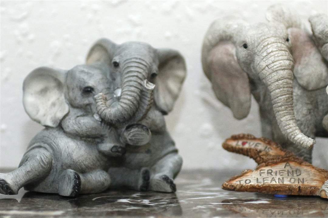 Gill-elephant-trio