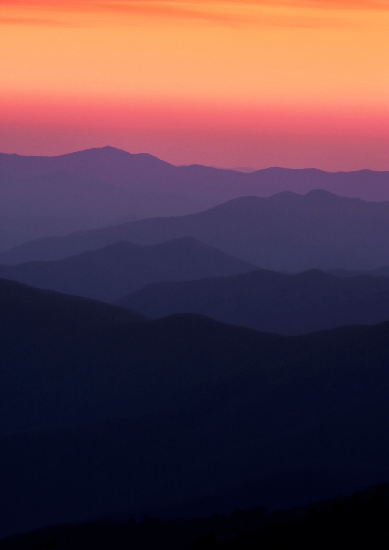 Spring in the Smokies - The Blade