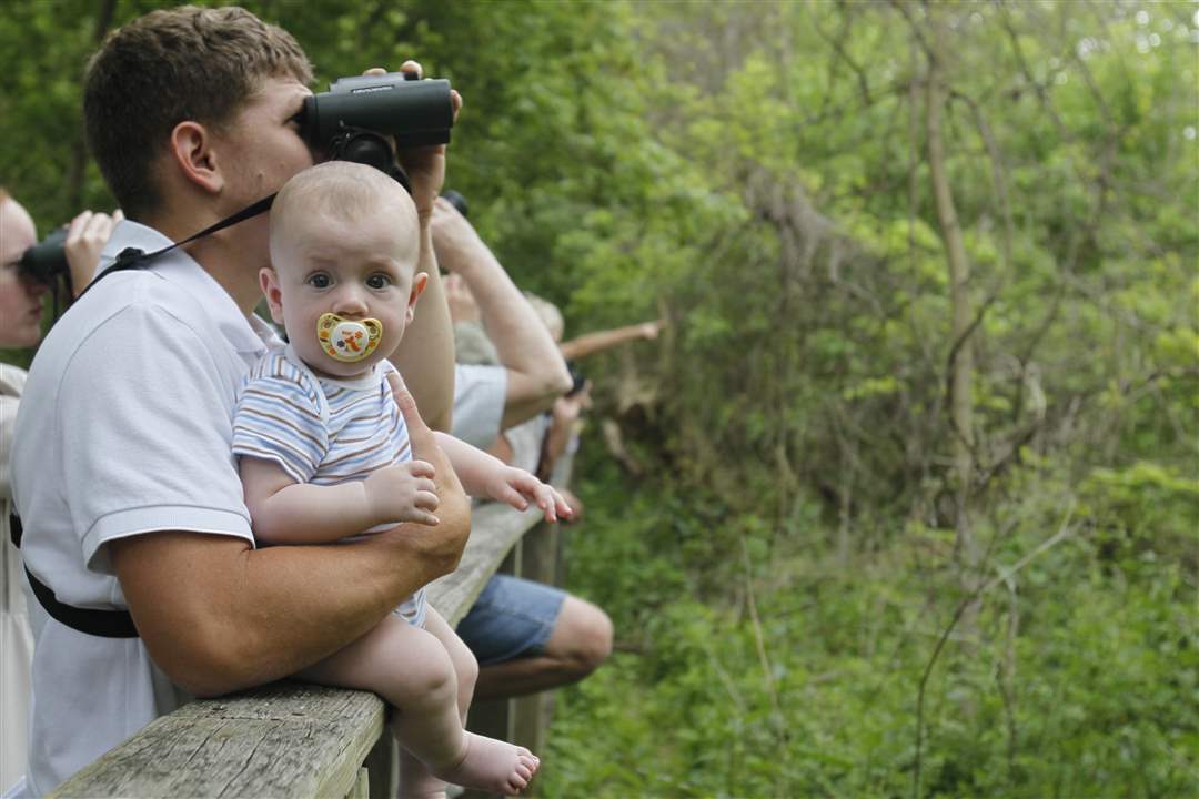 weaver-bird-watching