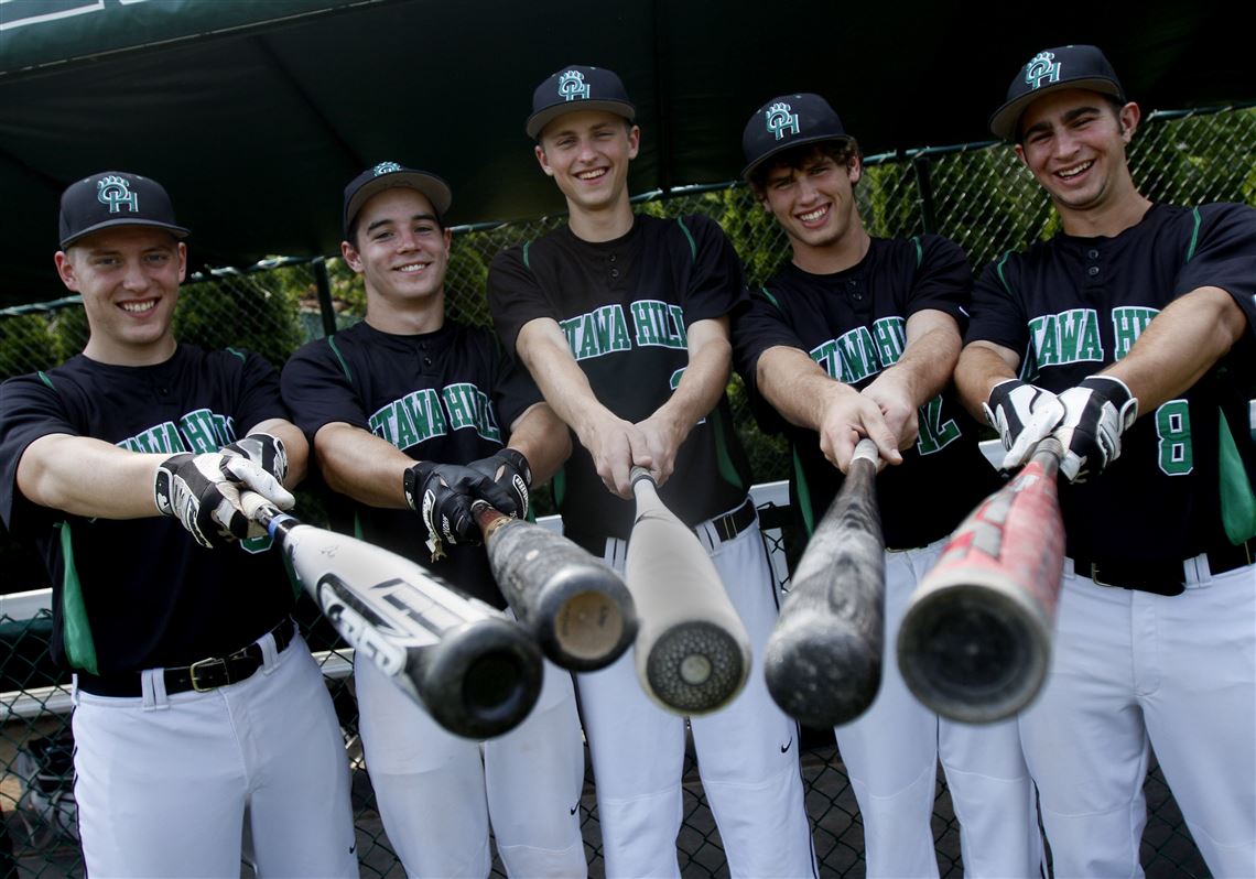 4 Area Baseball Teams Reach Regionals The Blade