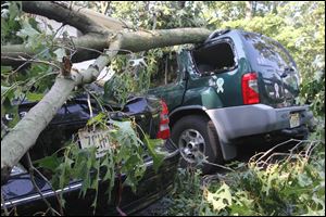 A downed tree takes out two vehicles in Upper Deerfield, N.J. on Saturday.