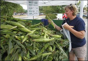 Laurie Russell selects a half dozen ears of corn at the Prairie View Farms sweet corn stand on Sagamore Parkway in West Lafayette, Ind. Corn and soybean prices on the futures market have surged to record highs amid the worst drought in half a century, with new crop contracts for corn rising 50 percent since early June and soybeans increasing about 35 percent.