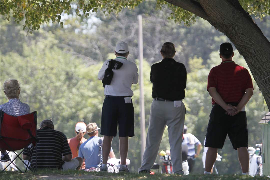 Fans-in-the-shade-provided-by-a-large-tree