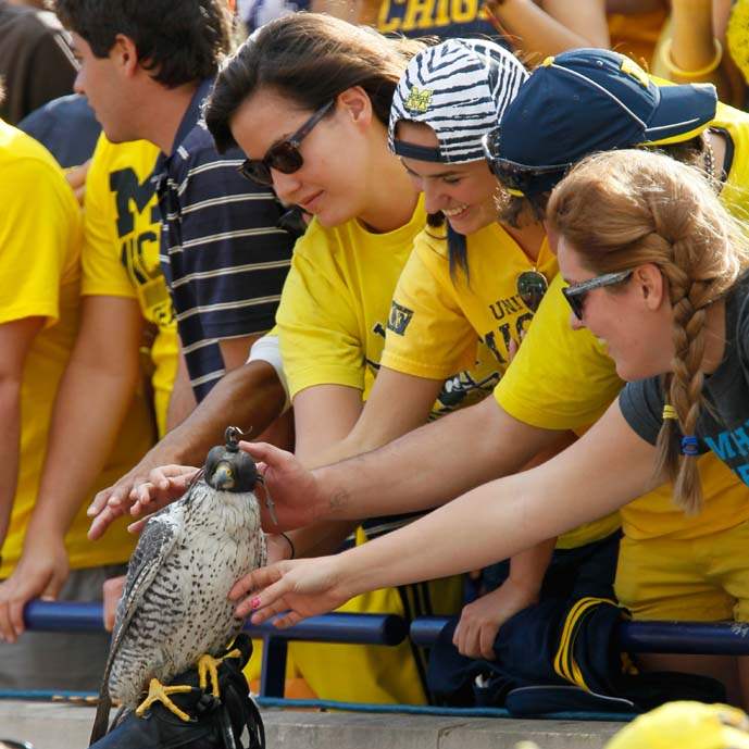 University-of-Michigan-fans