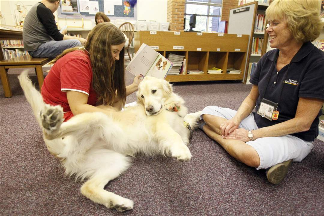 Therapy-dogs-playing