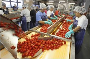 Workers inspect tomatoes at the Hirzel Canning on Lemoyne Road in Northwood.