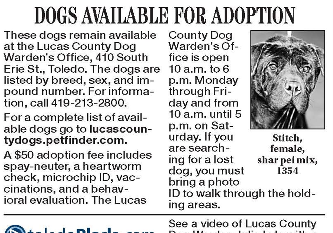 Lucas County Dogs for Adoption: 9-30 | The Blade