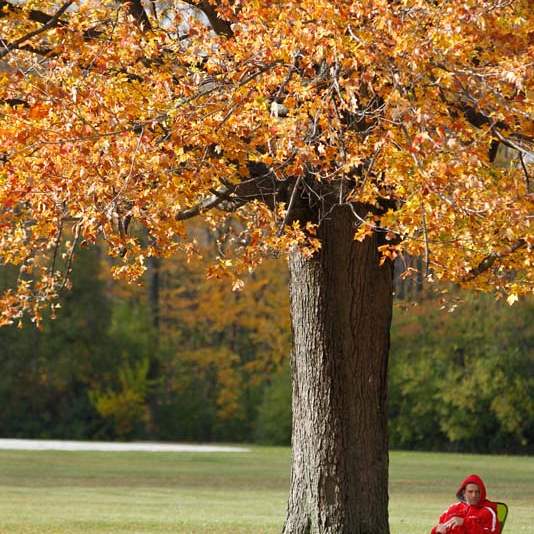 Cross-country-districts-big-fan