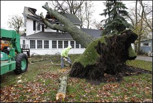 Josh Moritz, an employee of B & L Shortridge Tree Service, Port Clinton, cuts up a limb from a tree that fell into a house at the corner of Sycamore and W. Sixth Street in Lakeside, Ohio.