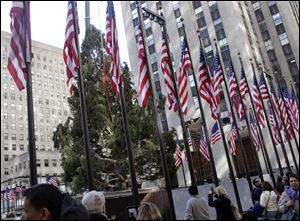 Tthe 80th Rockefeller Center Christmas Tree, a Norway Spruce, donated by Joseph Balku, of Flanders, N.J., is raised in New York City earlier this month. The tree will be lit today.