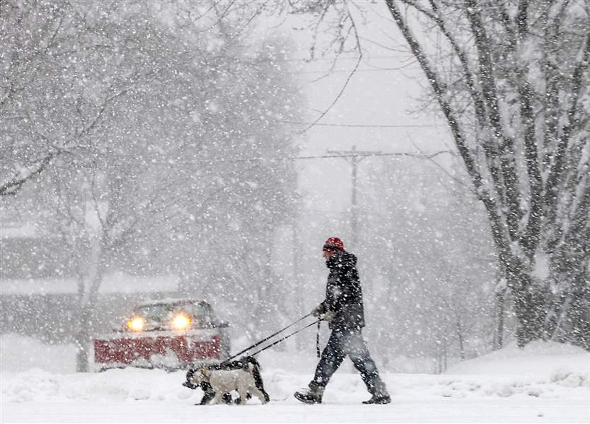 Winter-Storm-man-walking-dogs