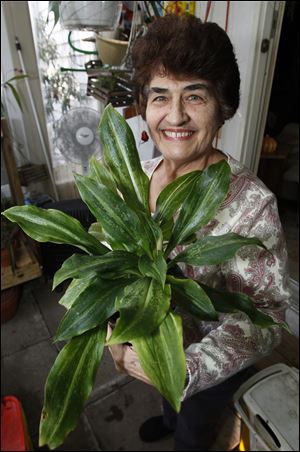 Mary Bell holds a Jewell orchid plant.