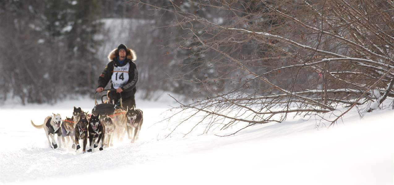 SPT-Matthew-Failor-sled-dog-race