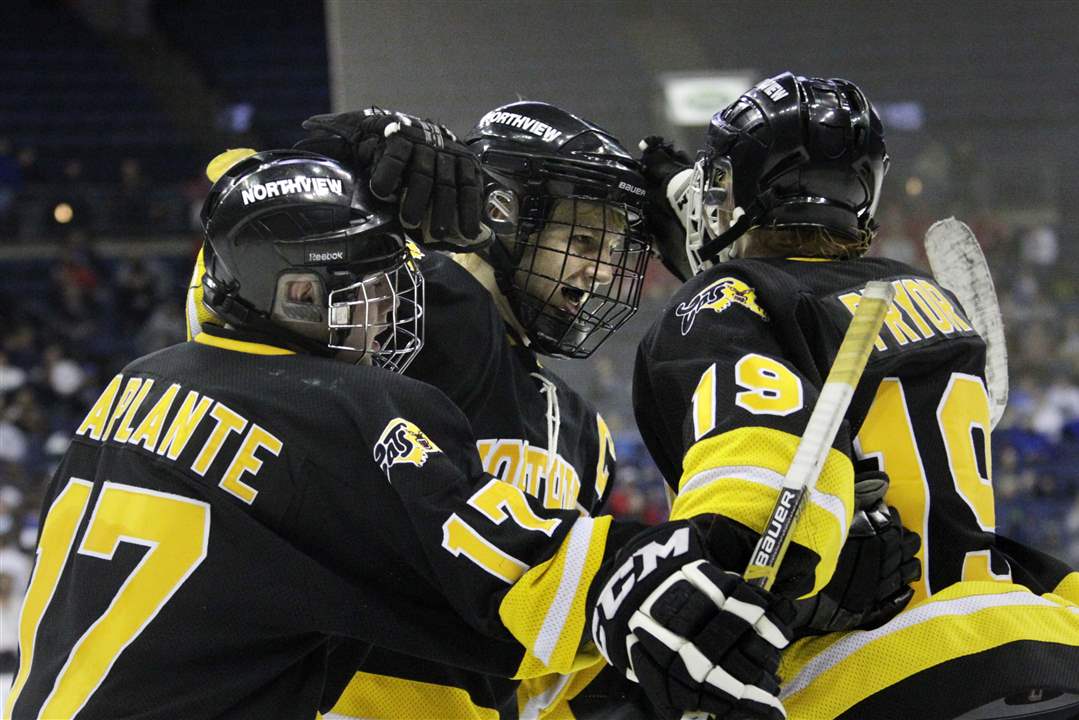 State-hockey-semis-players-celebrate