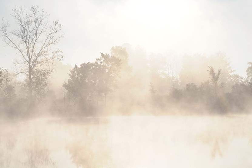 Quarry-Pond-Fall-fog-dawn-051-jpg