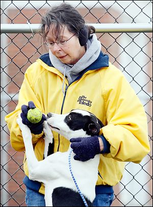 Volunteer Becky Hurley works with a dog at the Lucas County Dog Warden’s Office in Toledo.