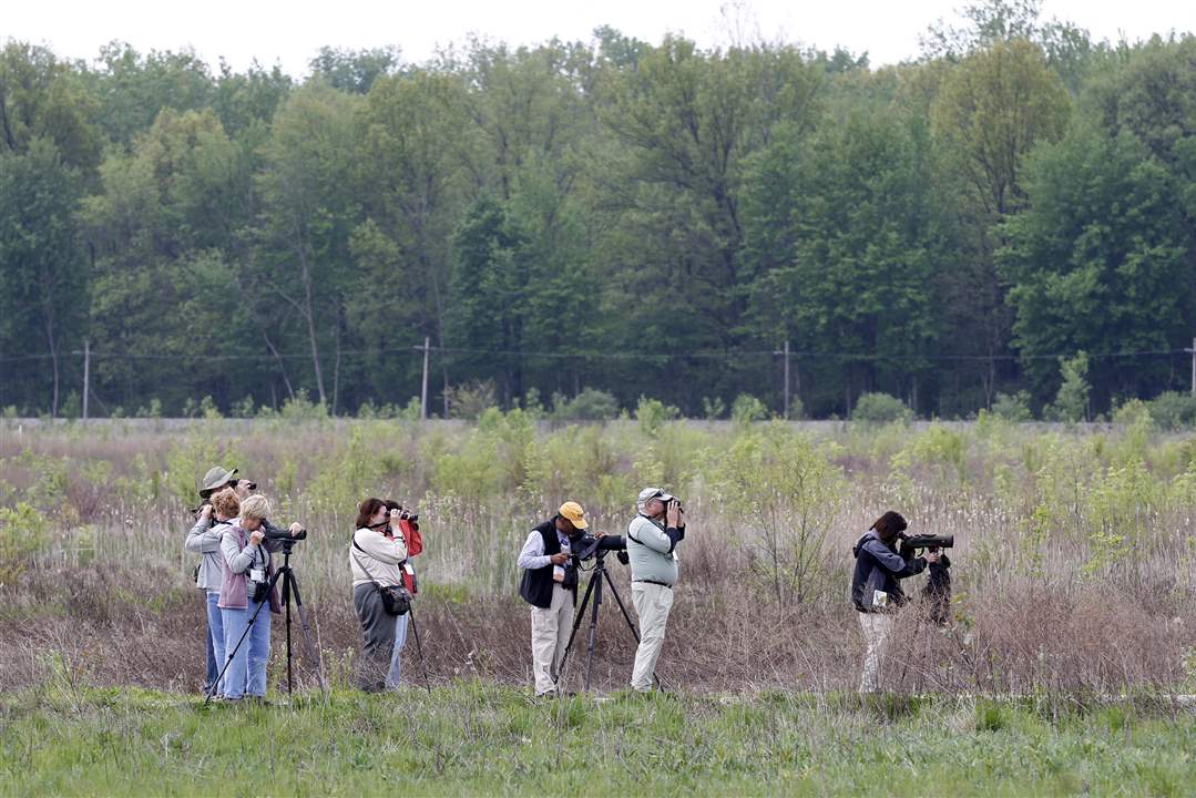 Birders-Pearson-Metropark-North-Wetland-Mitigation-Bank