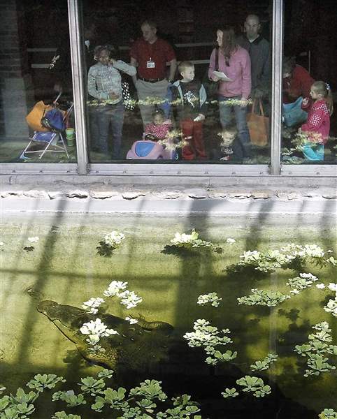 Members-of-the-public-get-their-first-view-of-Baru