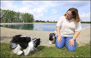 Marcy Skirvin plays with her Havanese dogs, Tux and Cinder, at her home in Bowling Green.