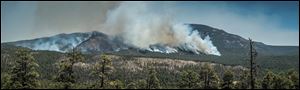 The Thompson Ridge fire burns in an area just north of the town of Jemez Springs, New Mexico, Saturday.