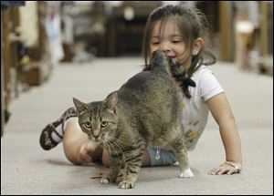 Anna Belair, 4, plays with Roy, who suffers from cerebellar hypoplasia, as he roams the American Heritage Antique Mall in LaSalle, Mich. Anna’s father, Dennis, is a dealer at the mall.