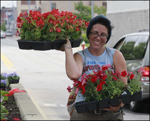 Courtney Billian of Toledo carries two of the 75 flats of flowers the volunteer groups UpTown Association and the First Alliance Church are planting.