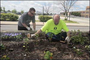 Jason Everingham, left, and David Crafts, both of Toledo, plant flowers in a city bed.